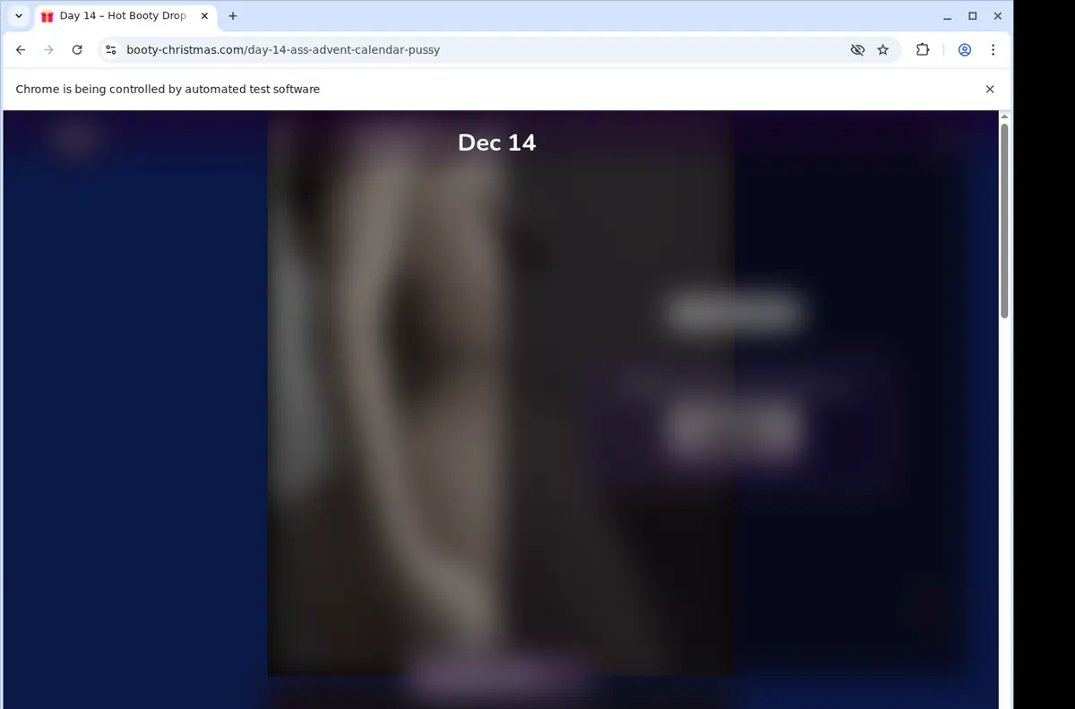 Bootychristmas Video Downloader browser extension screenshot 2