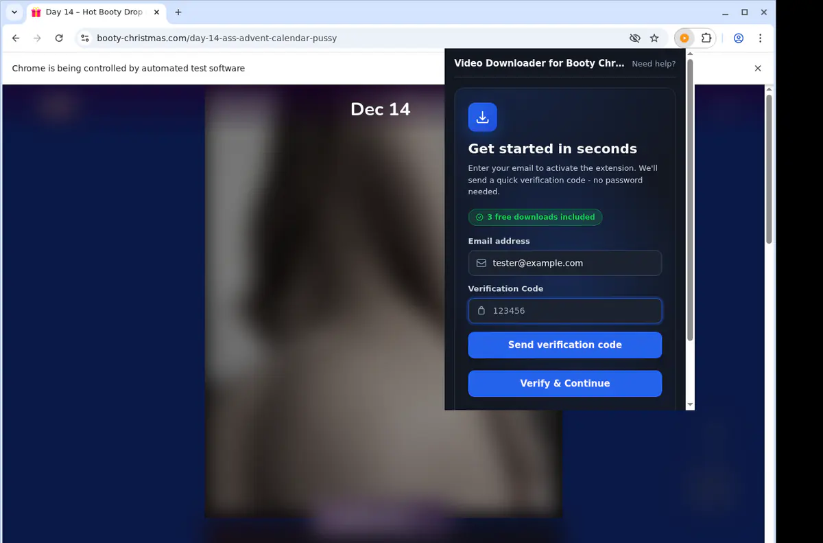 Bootychristmas Video Downloader browser extension screenshot 4
